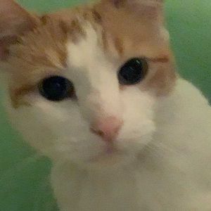 Meet your Posher, Evan